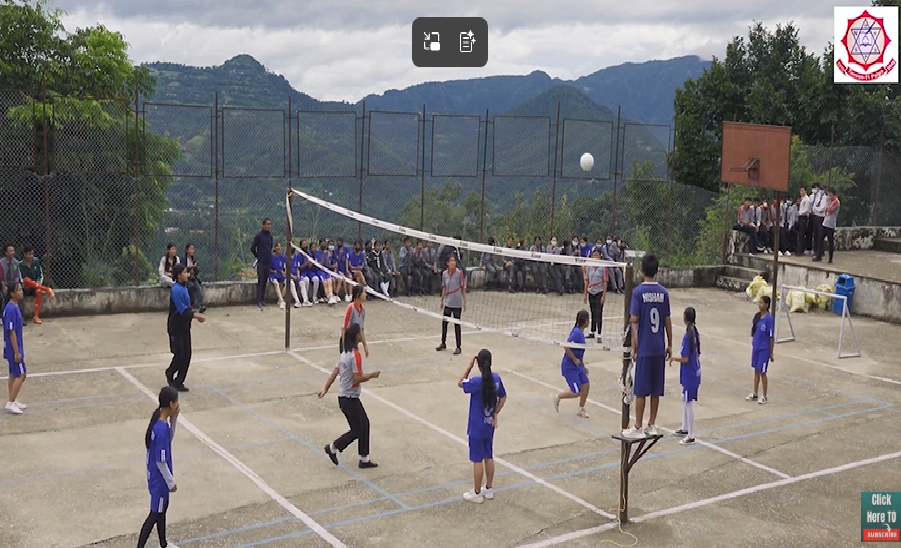 Volleyball Court